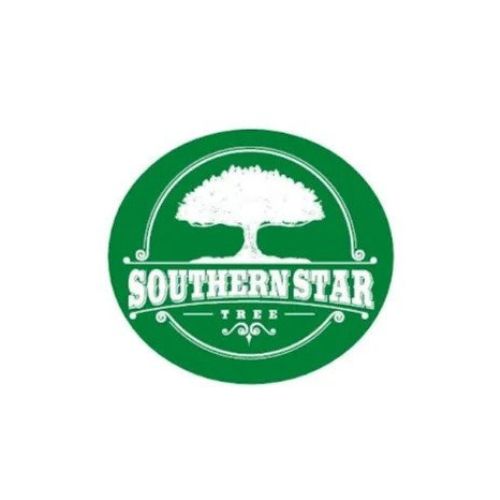 Trusted Tree Service in Decatur, Expert Tree Care Solutions
